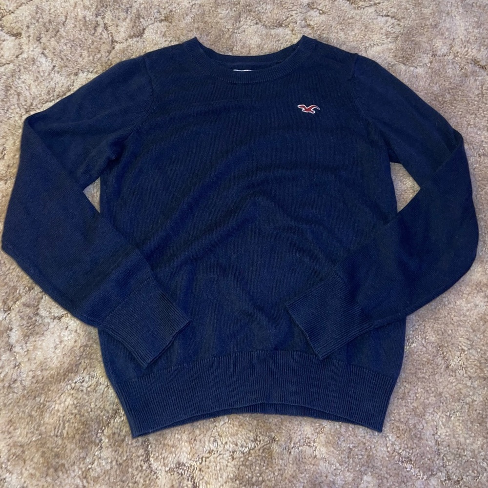 Hollister Bird Embroidered Crewneck